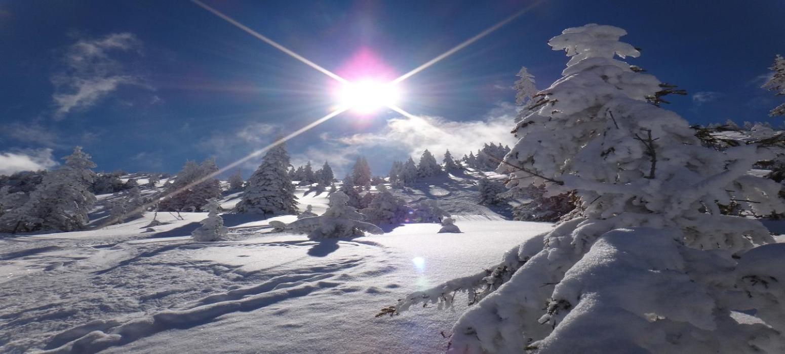 Alpine Lodge By Apartment Managers Kirchberg in Tirol Luaran gambar